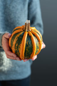 Women's hands hold a bright orange and green pumpkin.