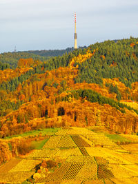 Scenic view of field against sky during autumn