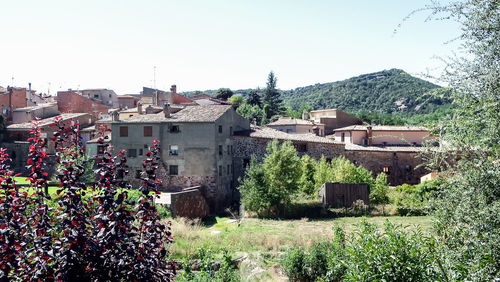 Houses and trees in city against clear sky