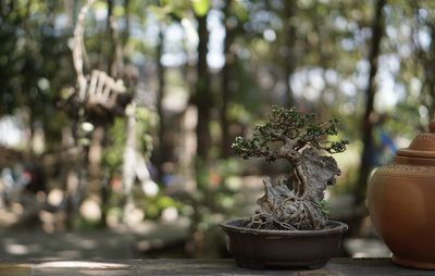 Close-up of small statue on potted plant
