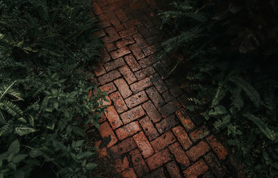 High angle view of cobblestone street at night