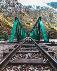 View of railroad tracks along trees