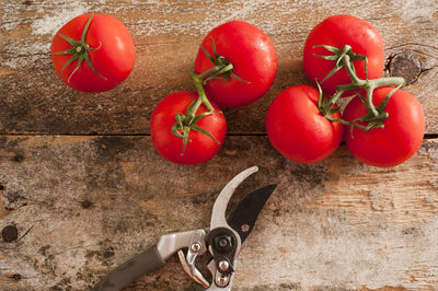 High angle view of tomatoes and pruning shear on wooden table