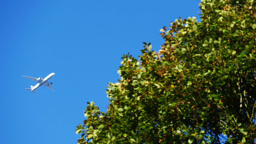 Low angle view of airplane flying against clear blue sky