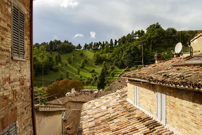 Trees and buildings against sky