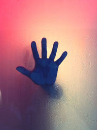 Close-up of human hand on glass window