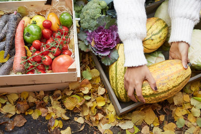 Cropped hands of woman arranging pumpkin in basket at yard