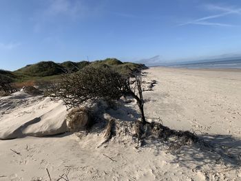 Scenic view of beach against sky