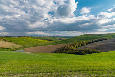 Scenic view of agricultural field against sky