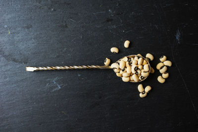 High angle view of food on table against black background