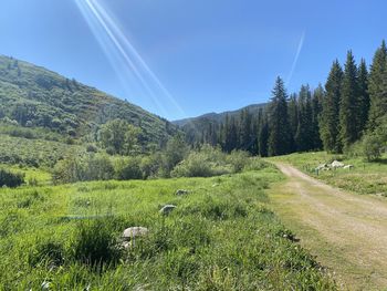 Scenic view of landscape against sky