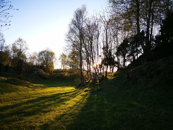 Scenic view of land against sky