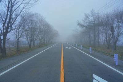 Empty road along trees