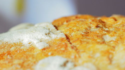 Close-up of cake on plate