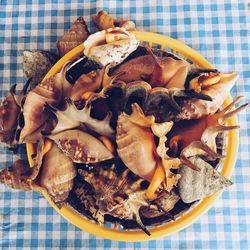 High angle view of seashells on plate