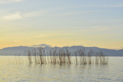 Scenic view of lake against sky during sunset