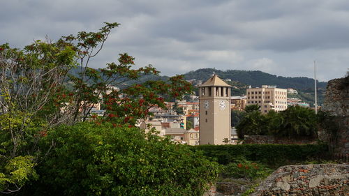 Trees and buildings against sky