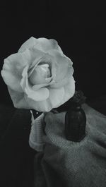 Close-up of rose over black background