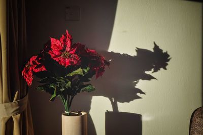 Close-up of potted plant on table at home