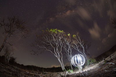 Wire wool above landscape against star field at night