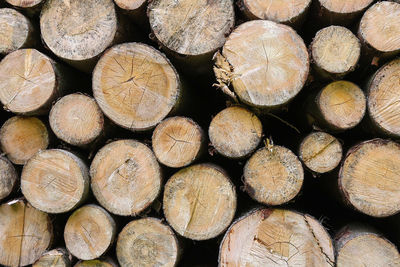 Full frame shot of firewood