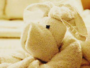 Close-up of teddy bear
