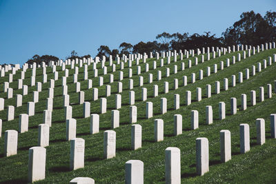 Tombstones in cemetery