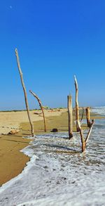 Wooden posts on beach against clear blue sky