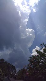 Low angle view of flowering trees against sky