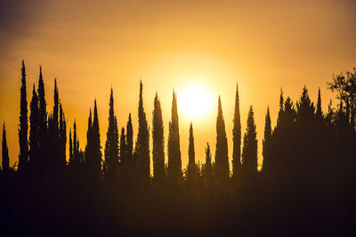 Panoramic view of silhouette trees against sky during sunset