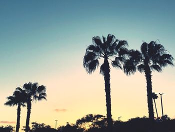 Low angle view of coconut palm trees against clear sky