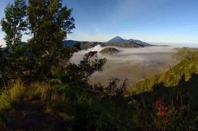 Scenic view of landscape against sky