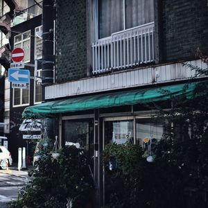 Plants in front of building