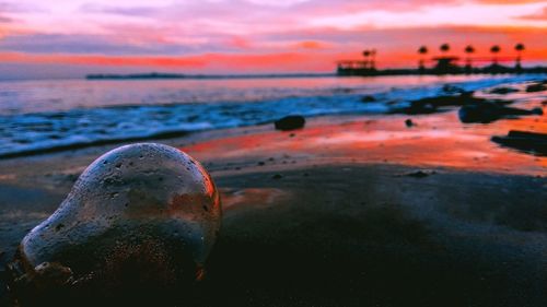 Damaged bulb at beach against sky during sunset