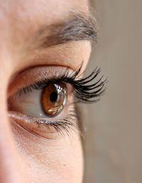 Close-up of human eye