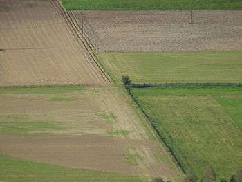 Scenic view of agricultural field