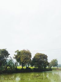 Scenic view of lake against clear sky