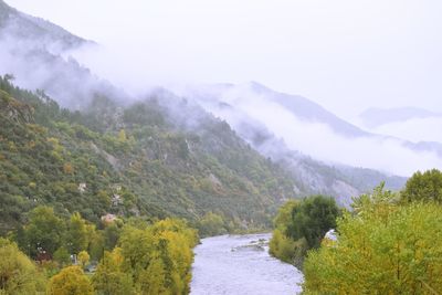 Misty mountains