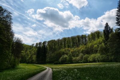 Panoramic shot of road amidst trees against sky