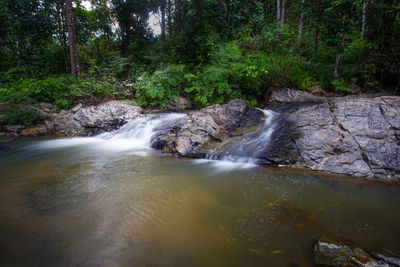 Stream flowing through rocks in forest