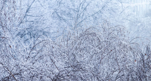 Scenic view of snow covered land