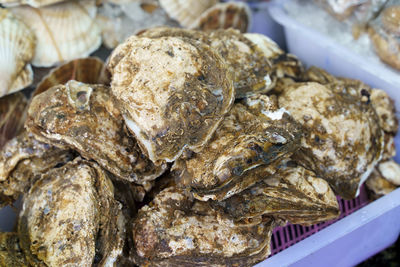 Close-up of food