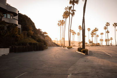 Empty road by palm trees against sky