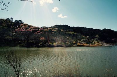 Scenic view of lake by trees against sky