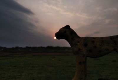 View of horse on field during sunset