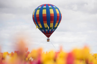 Hot air balloons flying against sky