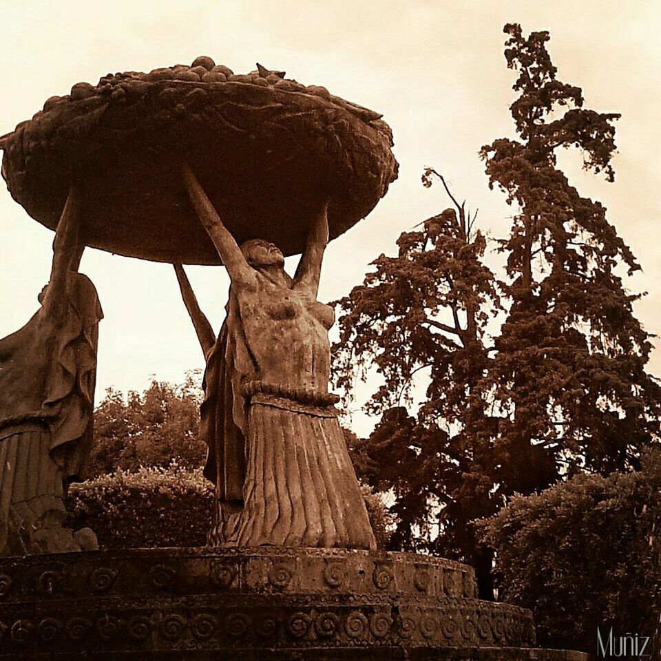 low angle view, tree, sky, art and craft, statue, built structure, sculpture, art, religion, history, clear sky, architecture, old, day, outdoors, creativity, no people, growth, spirituality, human representation