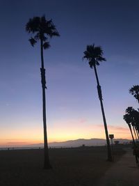 Silhouette palm trees against sky during sunset