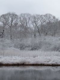 Scenic view of bare trees by lake against sky