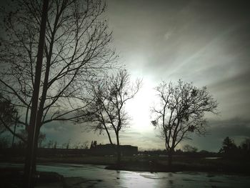 Silhouette bare trees by plants against sky during winter